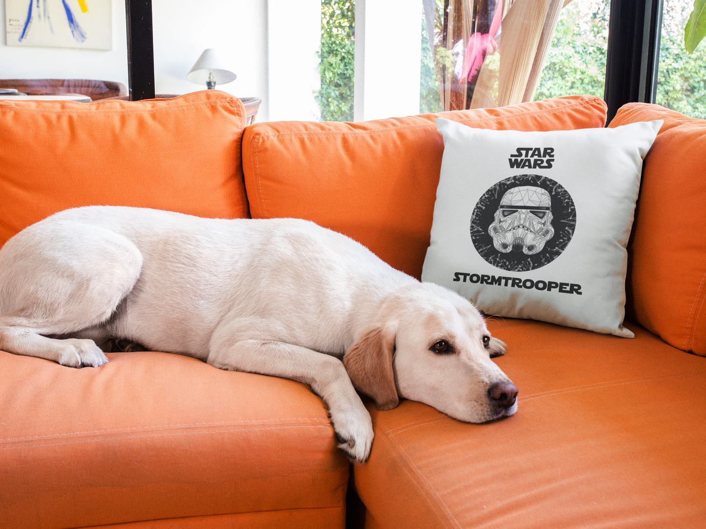 Star Wars Printed Cushion