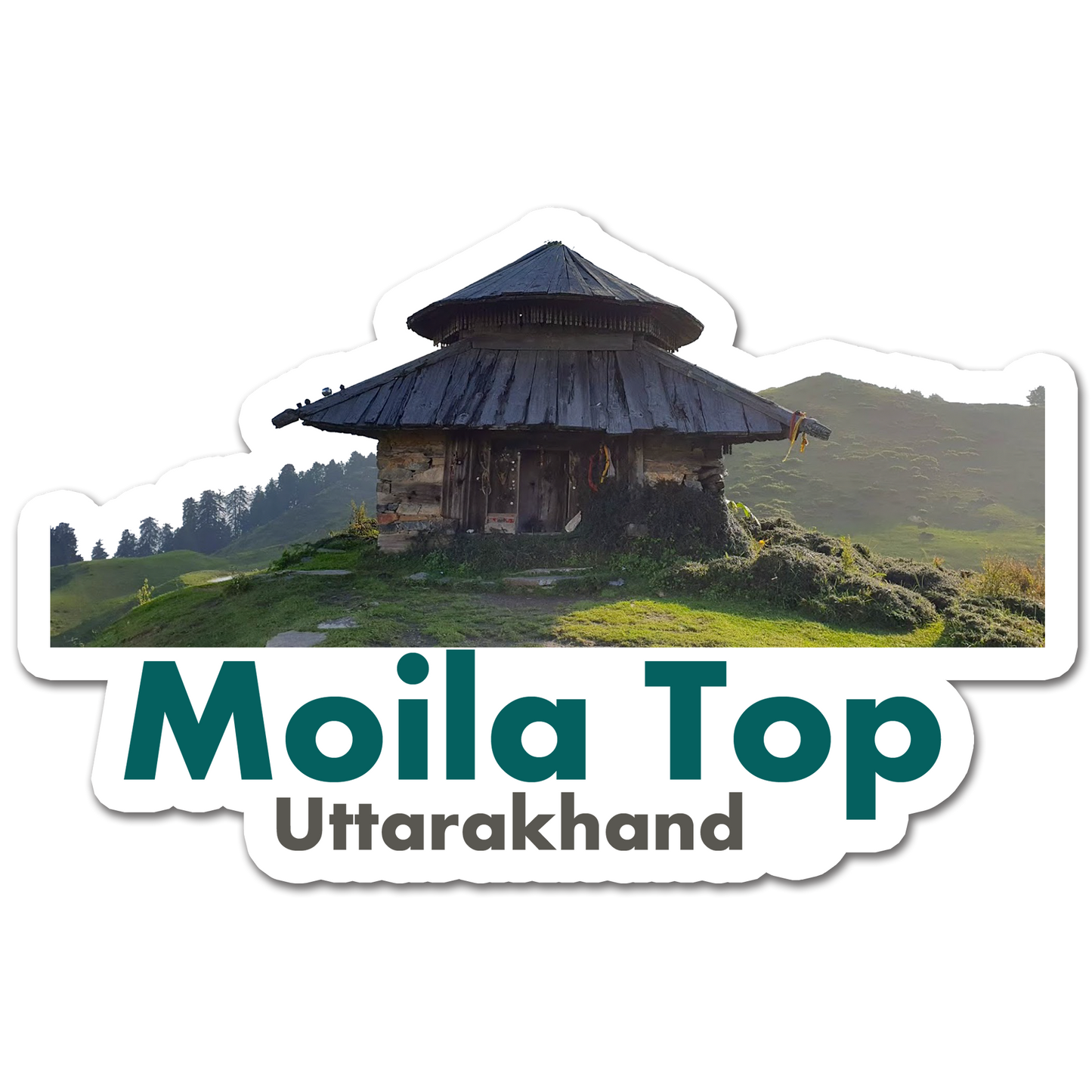 ShopTwiz Moila Top (Uttrakhnad) Awesome City Lovely Door Magnets And Fridge Magnet
