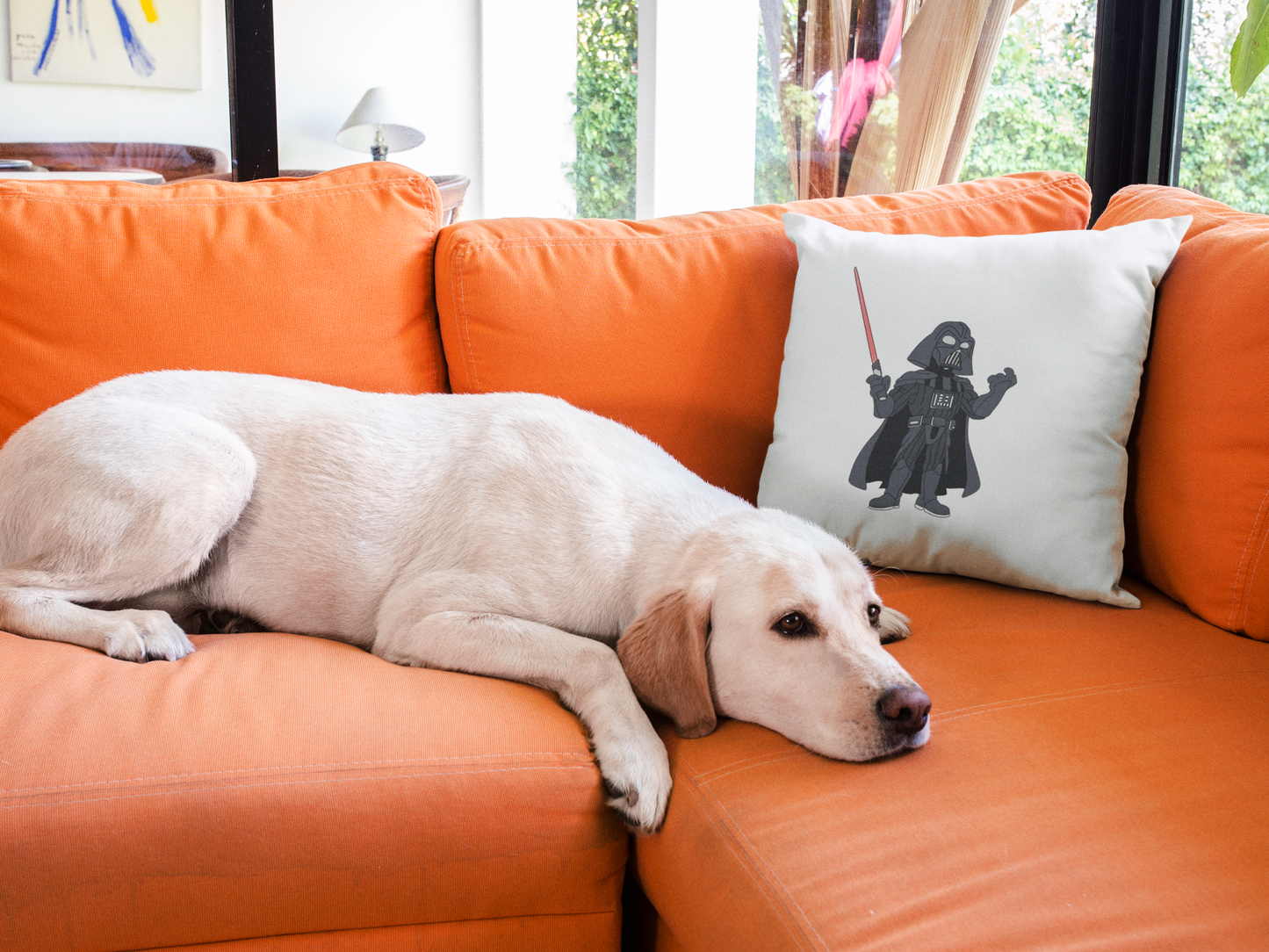 Star Wars Printed Cushion