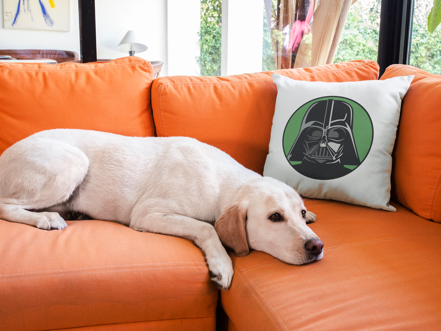 Star Wars Printed Cushion