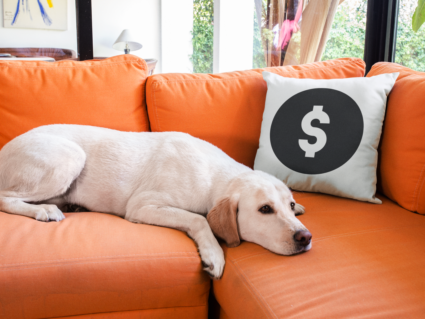 Dollar Printed Cushion