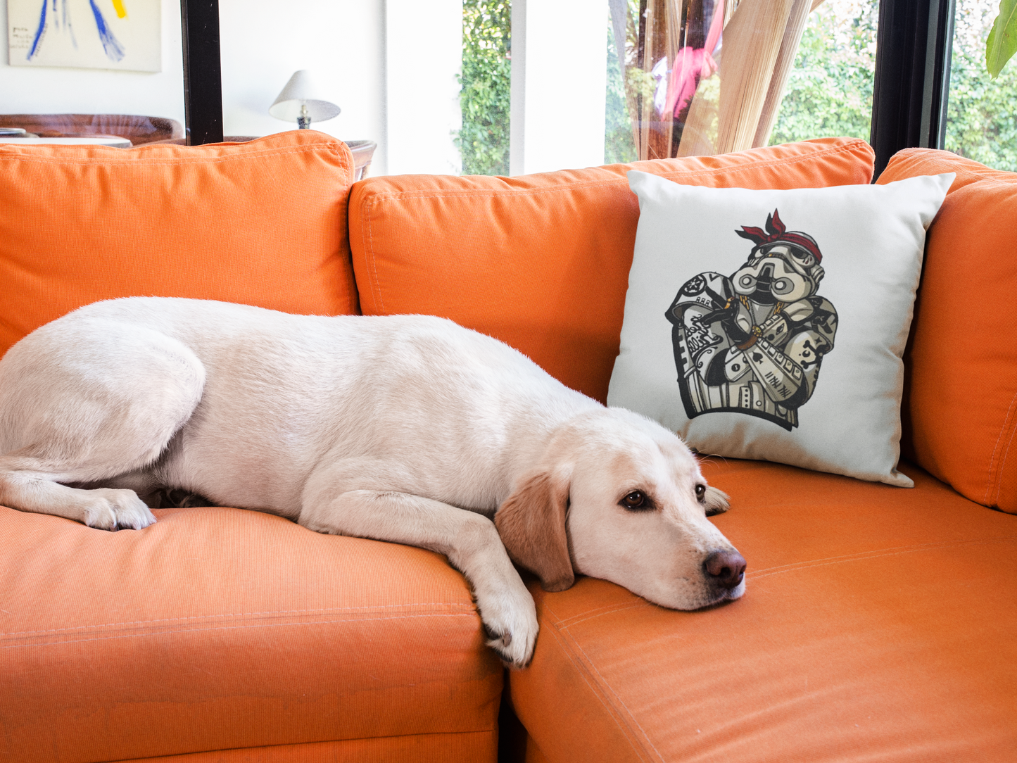 Star Wars Printed Cushion