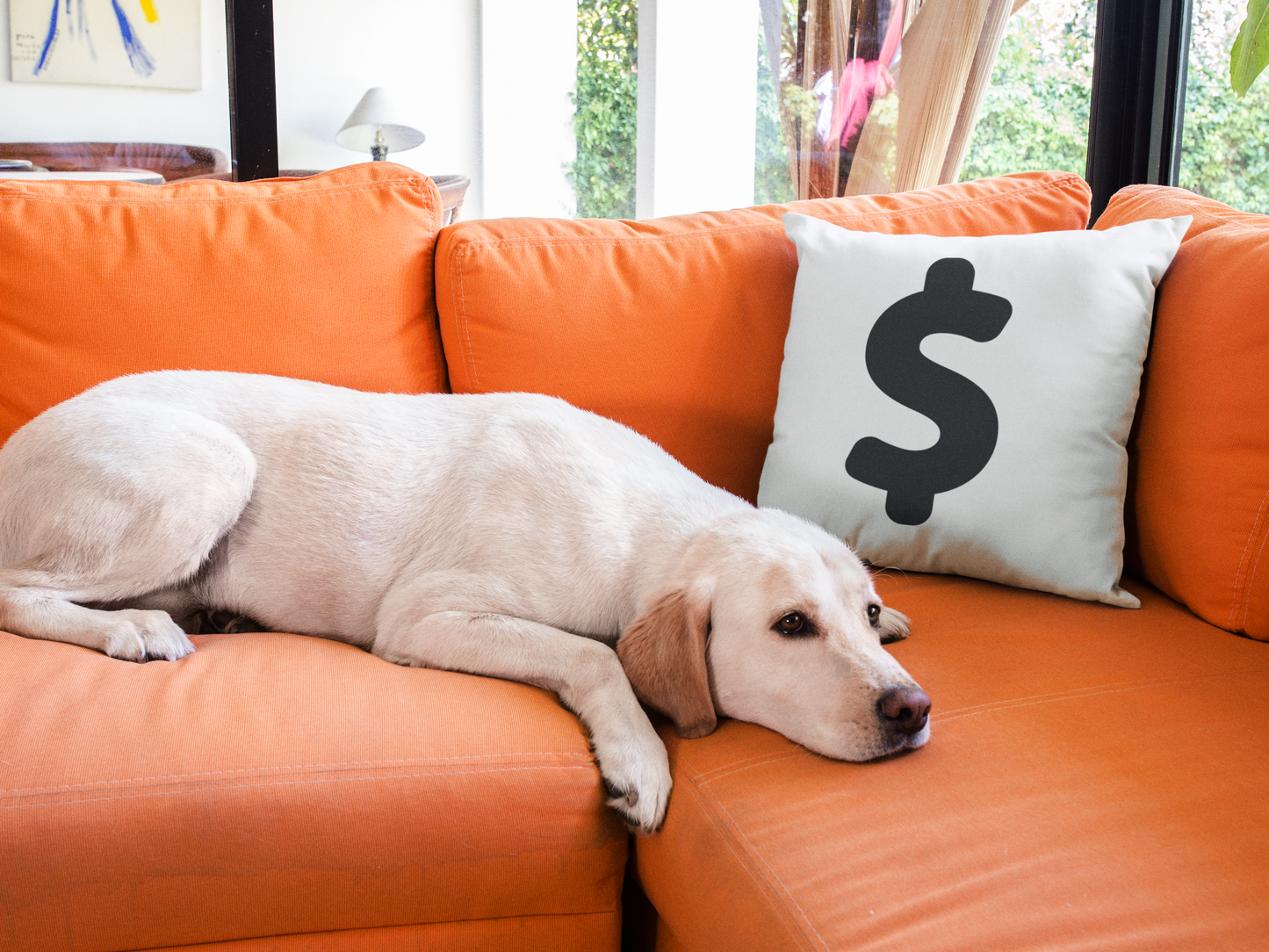 Dollar Printed Cushion