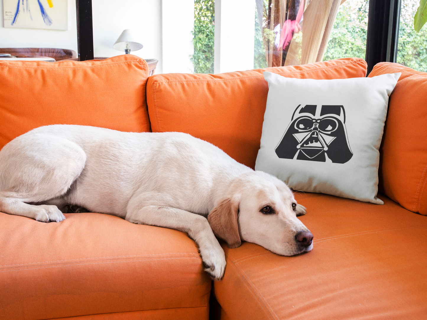 Star Wars Printed Cushion