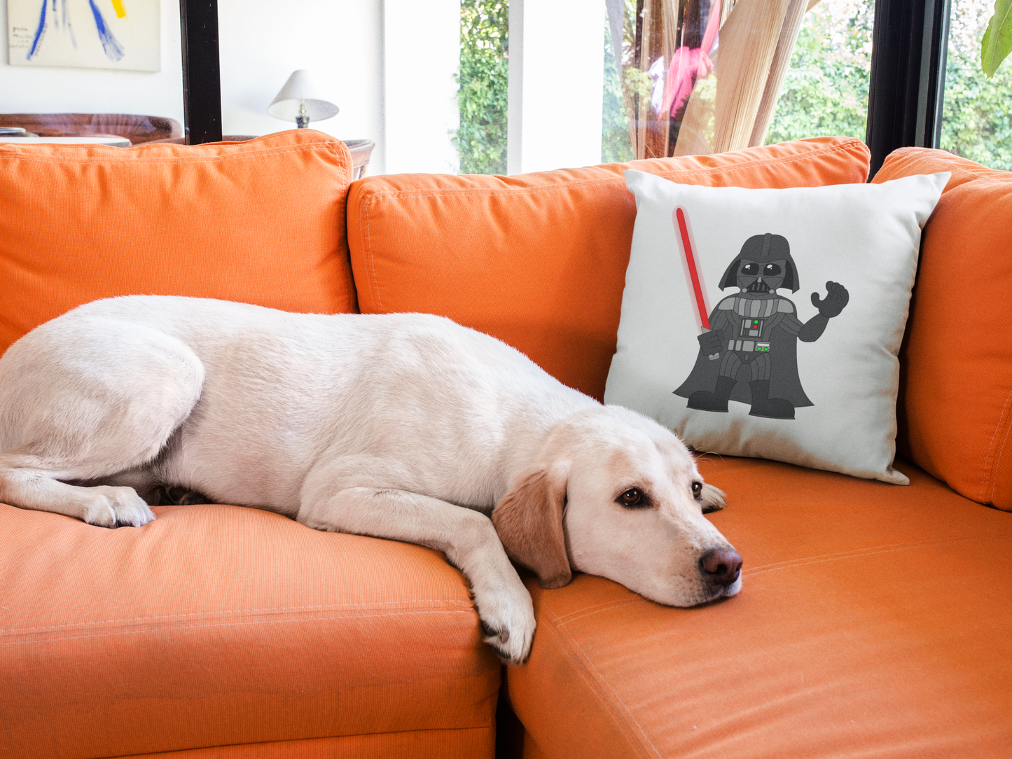 Star Wars Printed Cushion