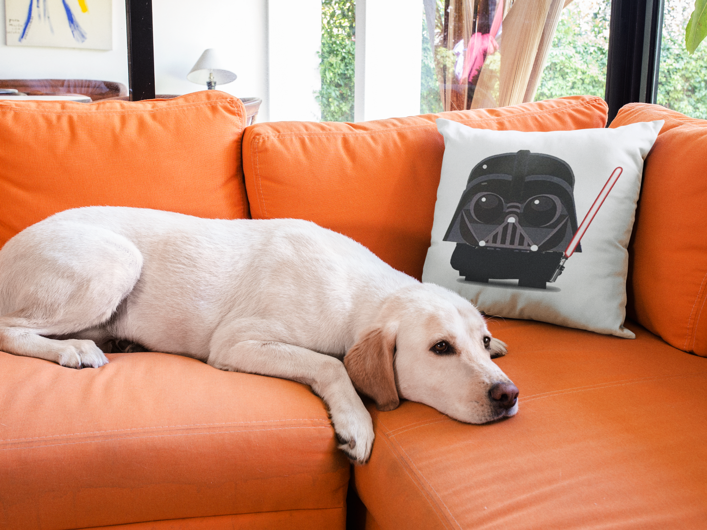 Star Wars Printed Cushion