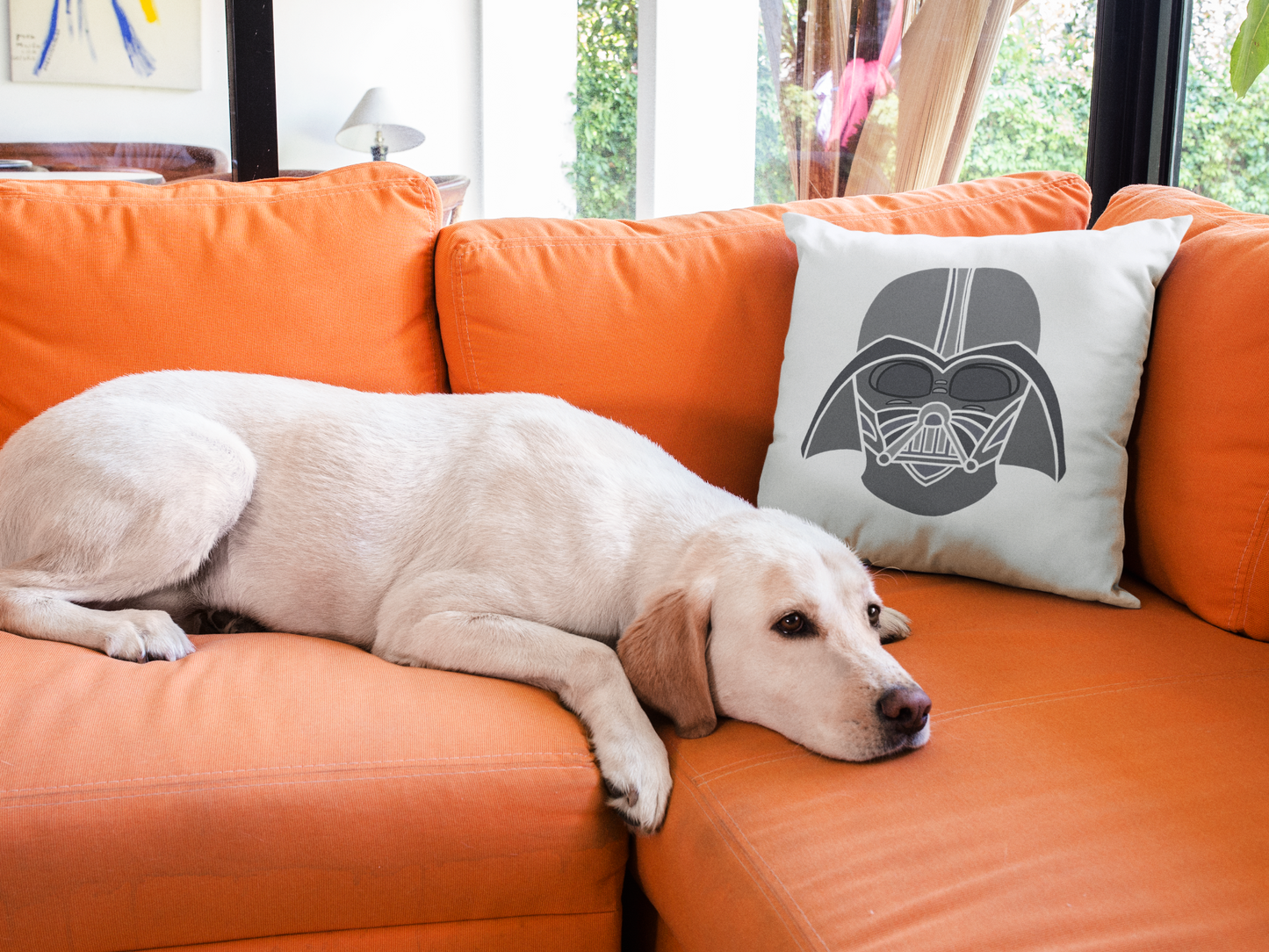 Star Wars Printed Cushion