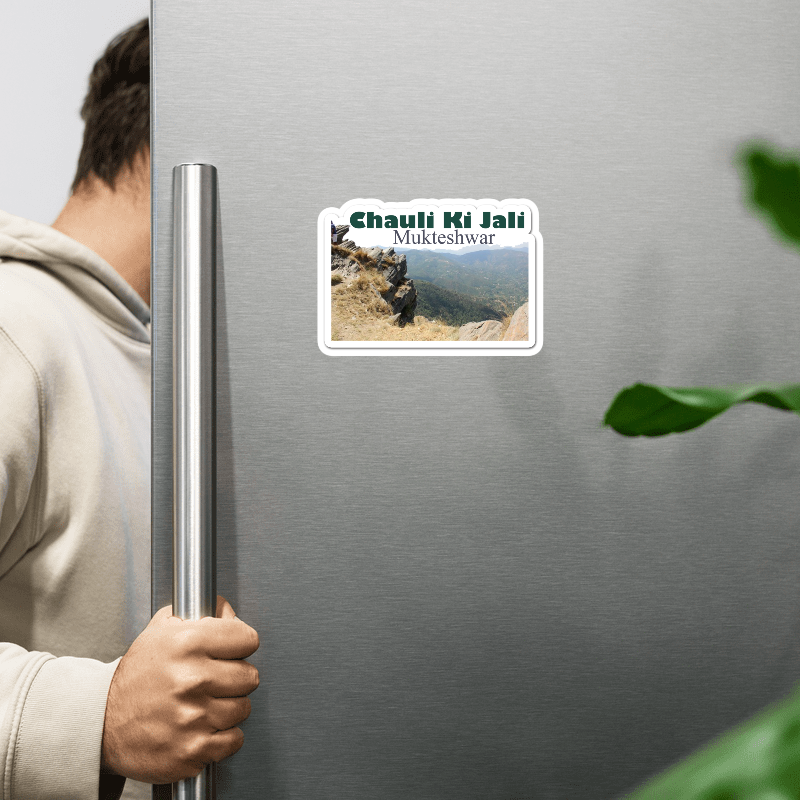 ShopTwiz Chauli Ki Jali 2 (Uttarakhand ) Awesome City Lovely Door Magnets And Fridge Magnet