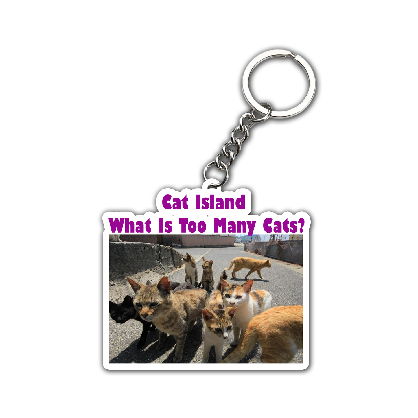 What Is Too Many Cats? Key Chain (Set of 2)