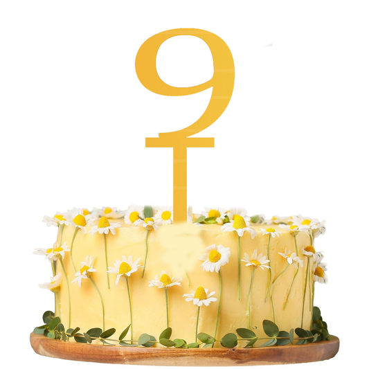 9 Number Cake Topper