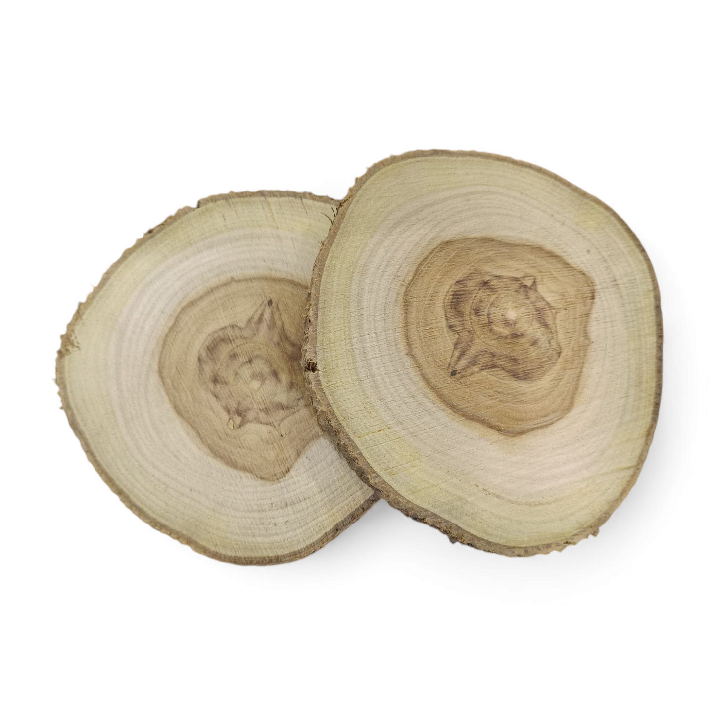 Wood Slice Pieces for DIY , Decor , PhotoGraphy Prop and Craft ( Approx 5 Inch )