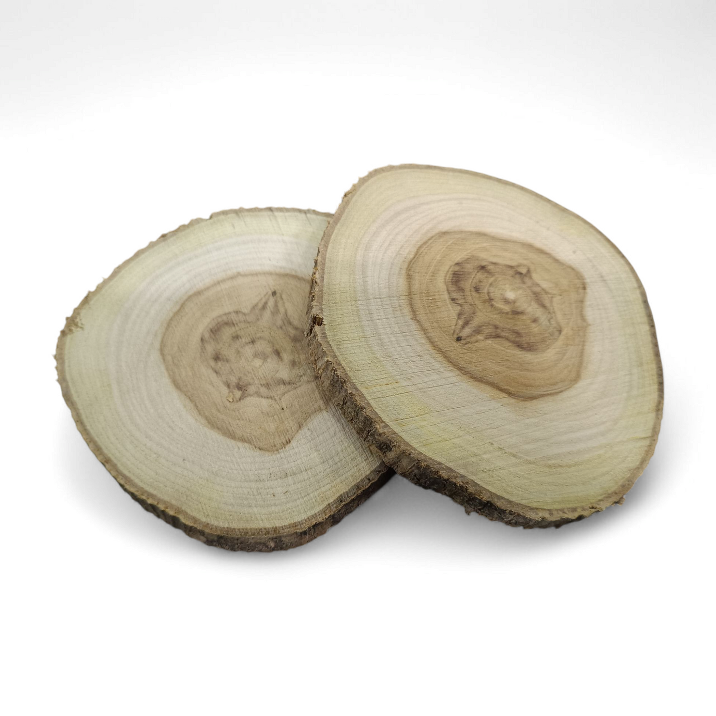 Wood Slice Pieces for DIY , Decor , PhotoGraphy Prop and Craft ( Approx 5 Inch )