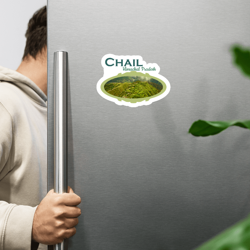 ShopTwiz Chail (Himachal Pradesh) Awesome City Lovely Door Magnets And Fridge Magnet