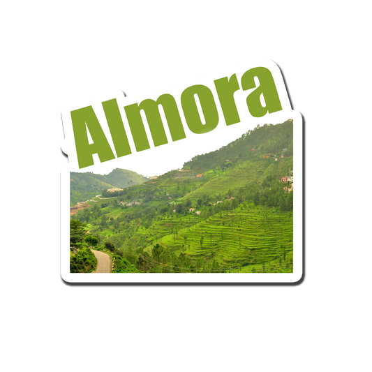 Almora Beauty Souvenir  Fridge Magnet