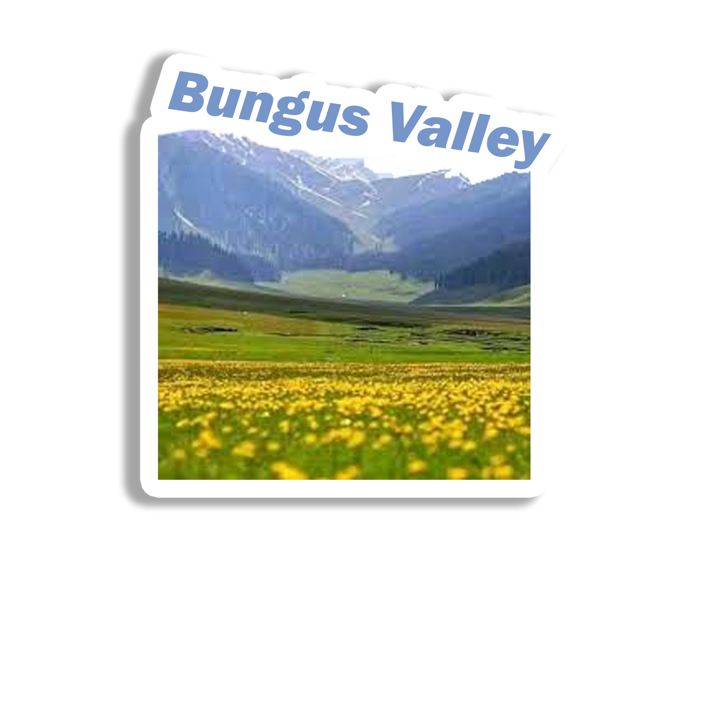 Bungus Valley Awesome Souvenir Fridge Magnet