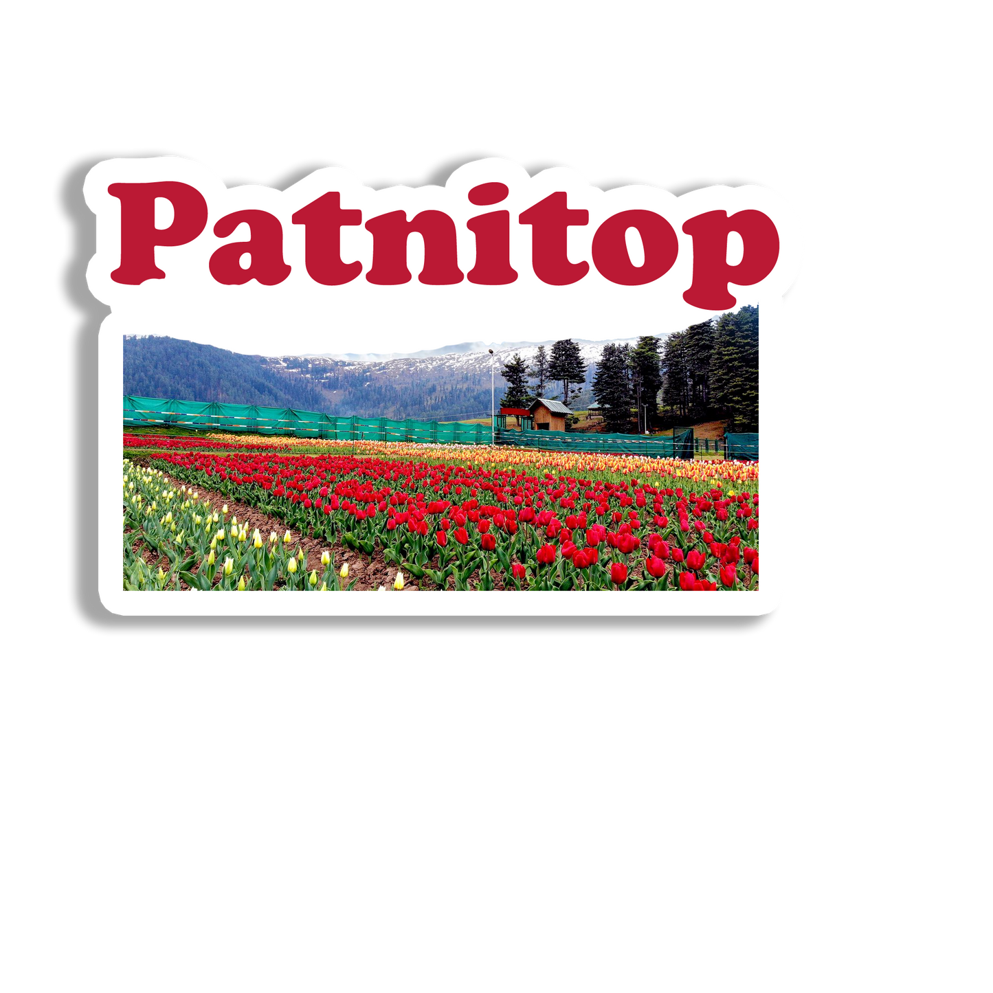 Patnitop Decorative Souvenir Fridge Magnet