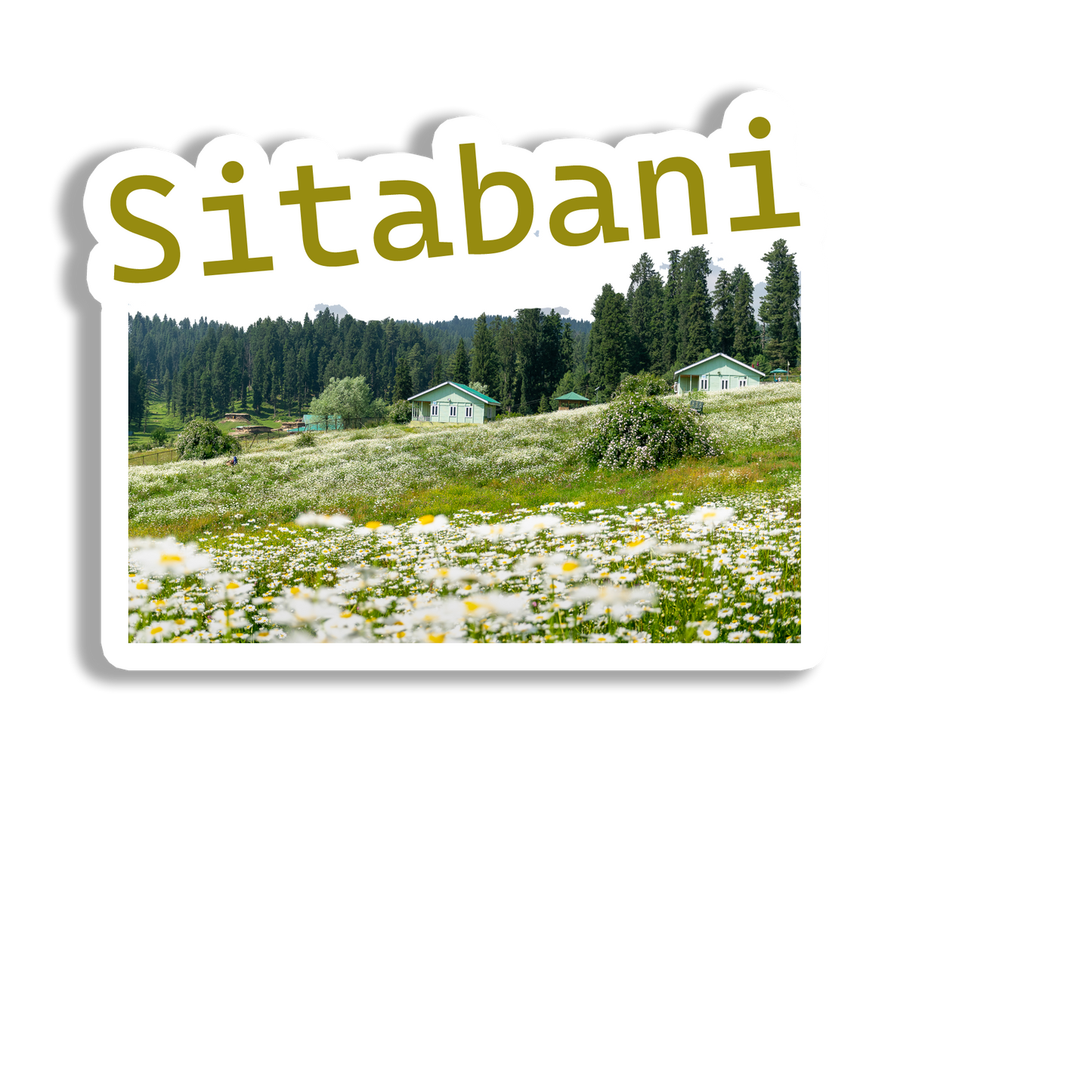 Sitabani Awesome Souvenir Fridge Magnet