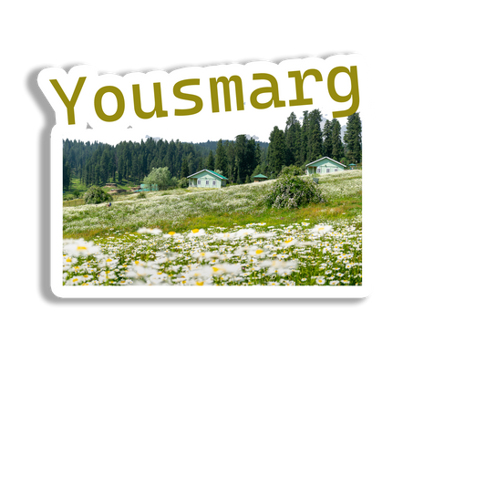 Yousmarg Souvenir  Fridge Magnet
