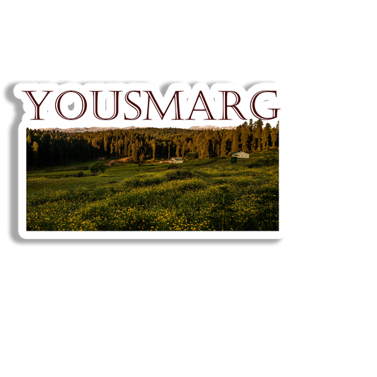 Yousmarg Beauty  Souvenir  Fridge Magnet