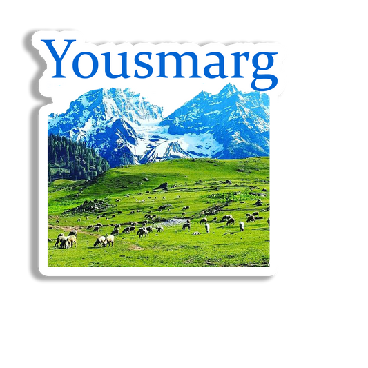 Yousmarg Beautiful  Souvenir  Fridge Magnet