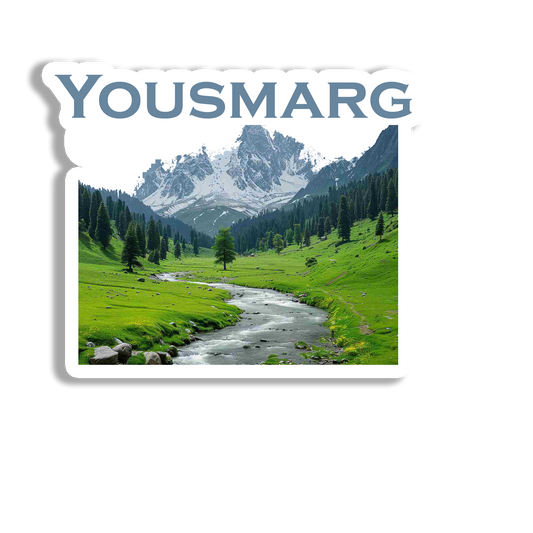 Yousmarg Elegant   Souvenir  Fridge Magnet