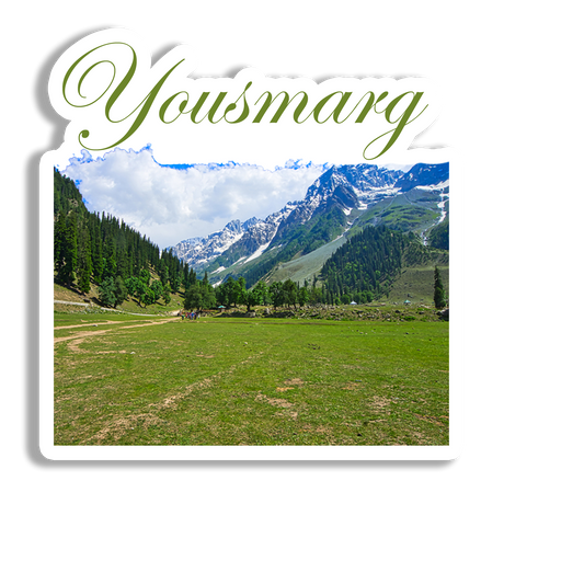 Yousmarg Awesome  Souvenir  Fridge Magnet