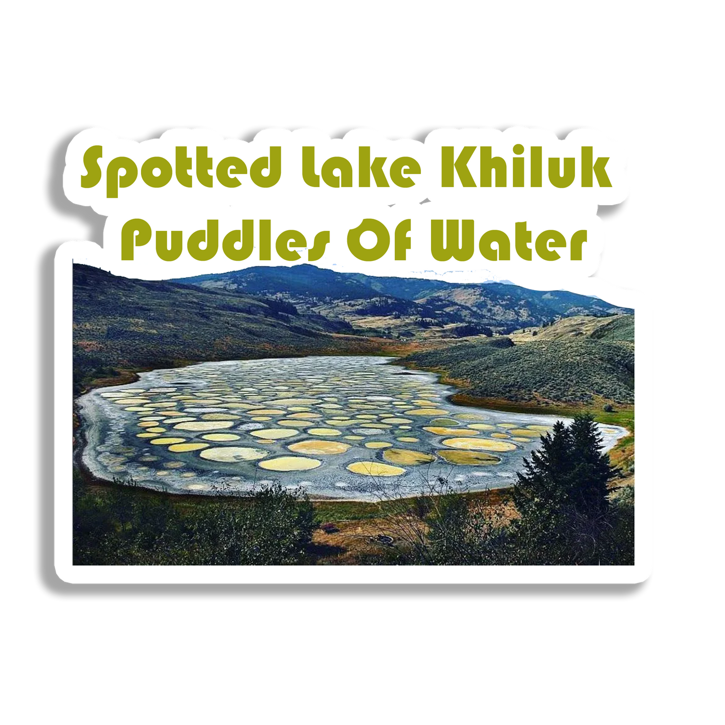 Spotted Lake Souvenir Fridge Magnet