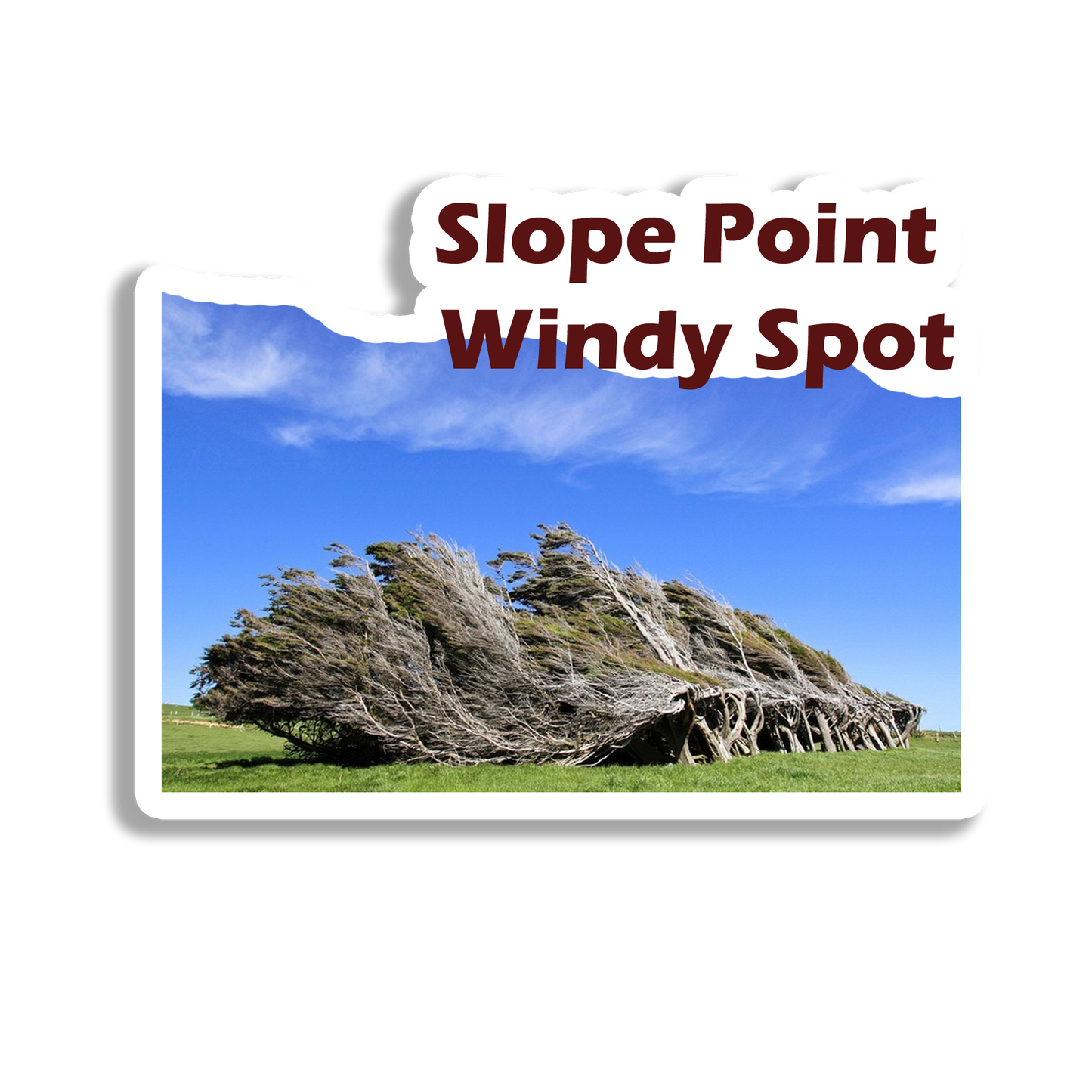 Slope Point Souvenir Fridge Magnet
