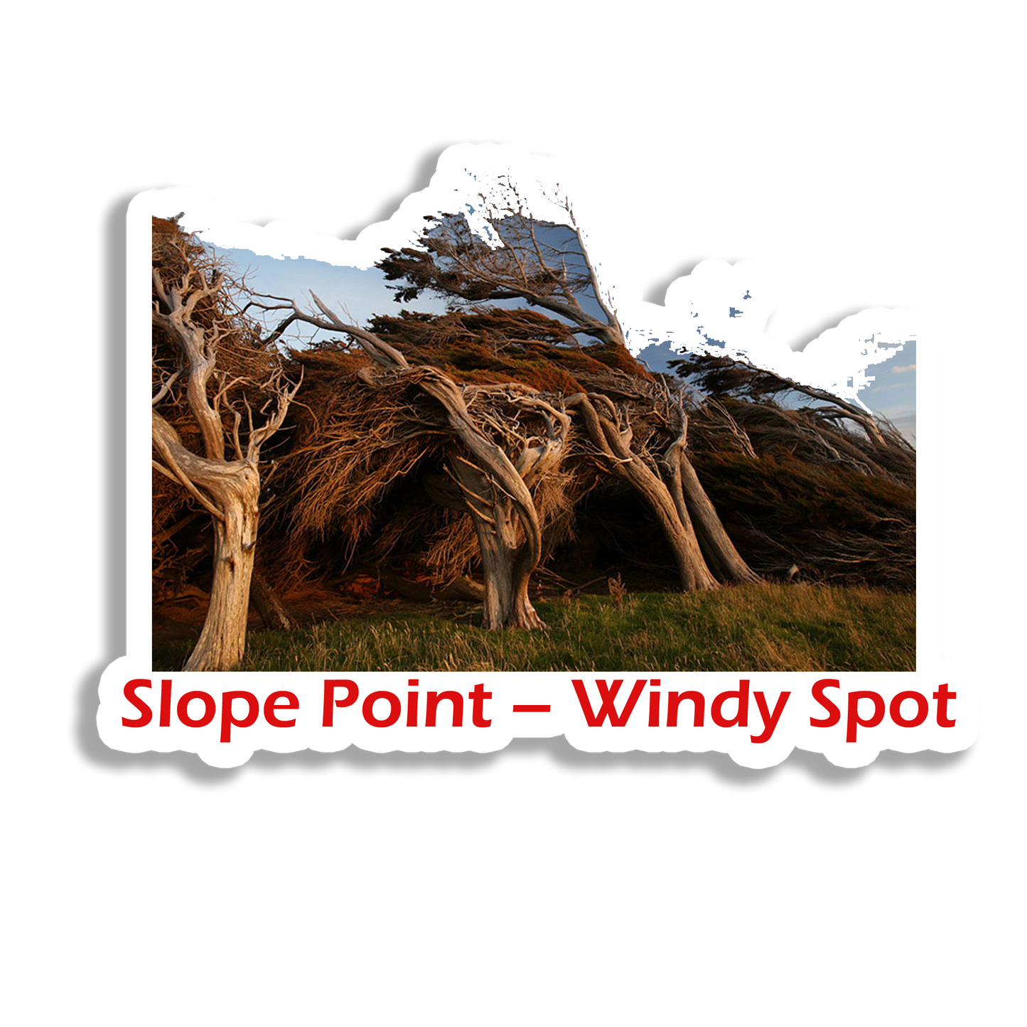 Slope Point Beauty Souvenir Fridge Magnet