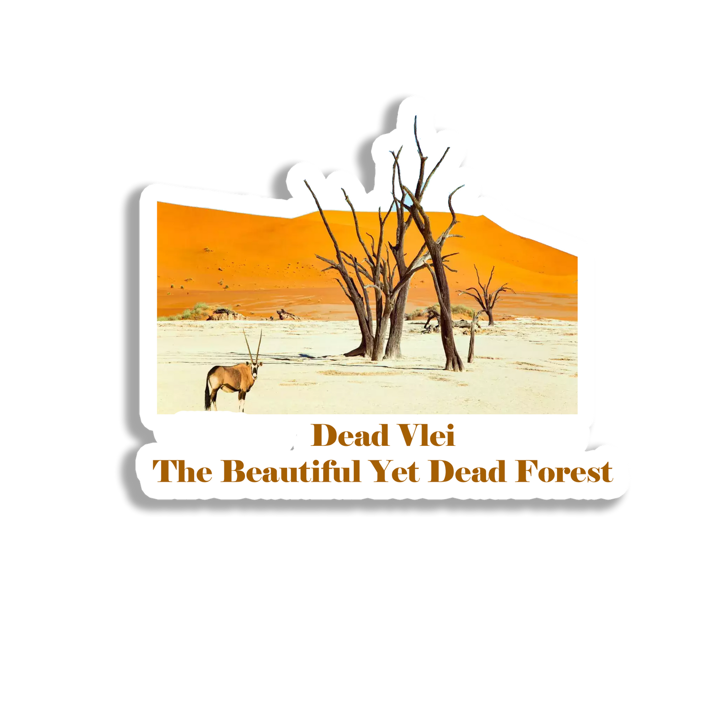 Dead Vlei Souvenir Fridge Magnet