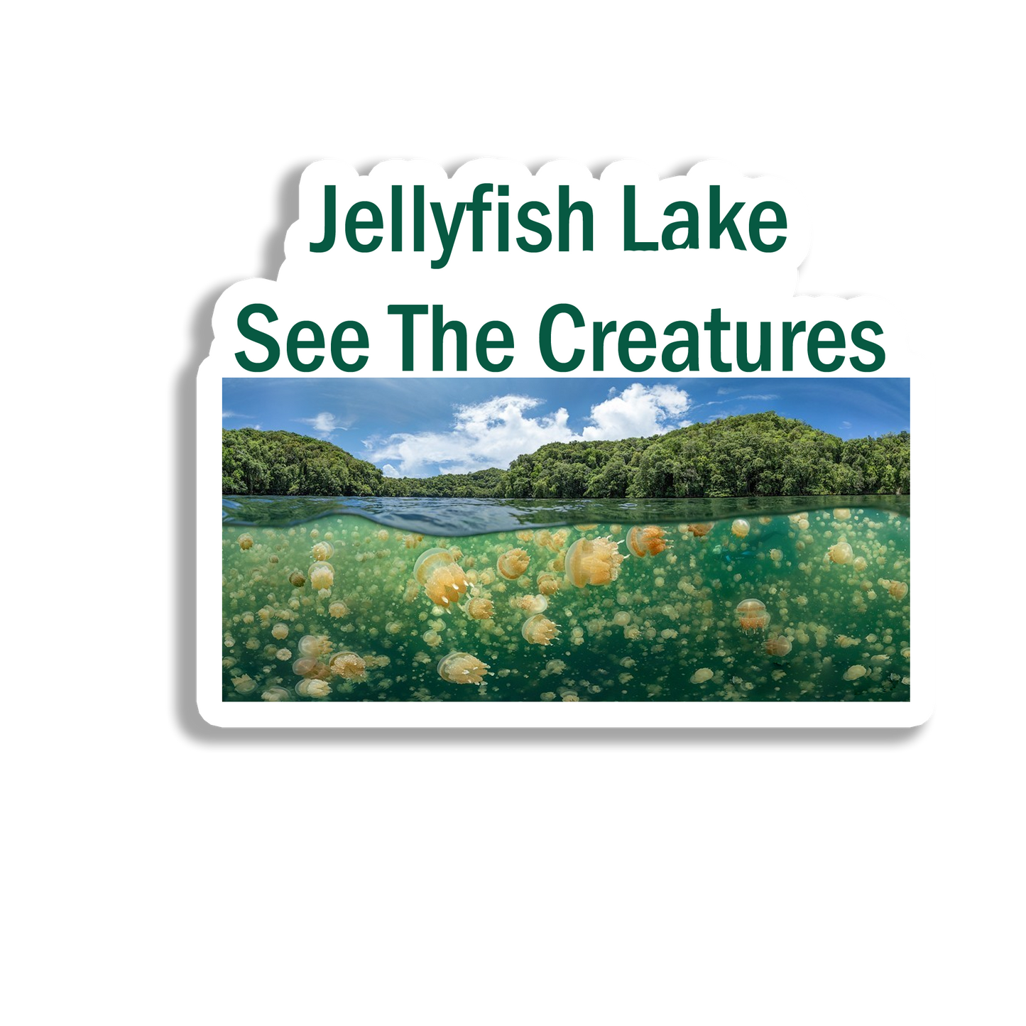 Jellyfish Lake Souvenir Fridge Magnet