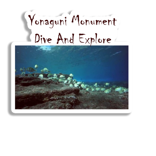 Yonaguni Monument Beautiful Souvenir Fridge Magnet