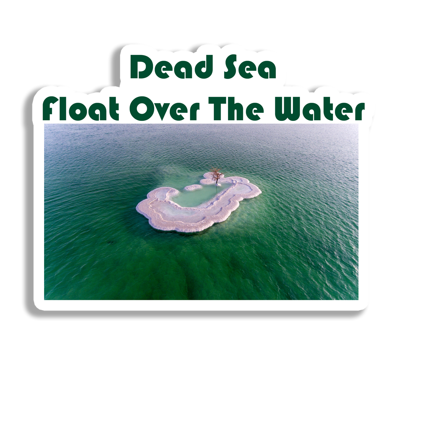 Dead Sea Souvenir Fridge Magnet