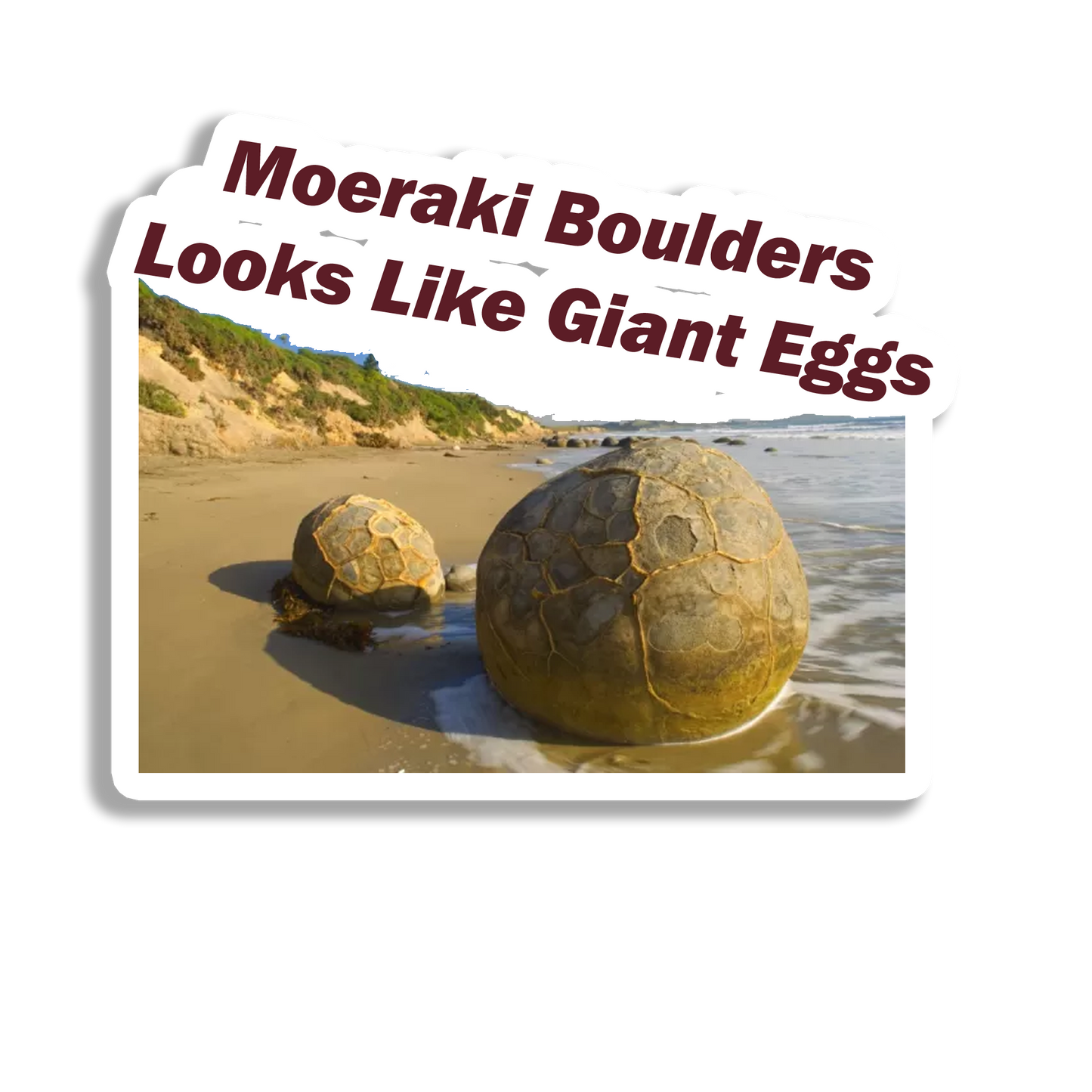 Moeraki Boulders Souvenir Fridge Magnet
