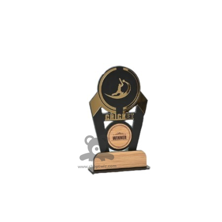 ShopTwiz Cricket Best Trophy with Customized Logo and Text
