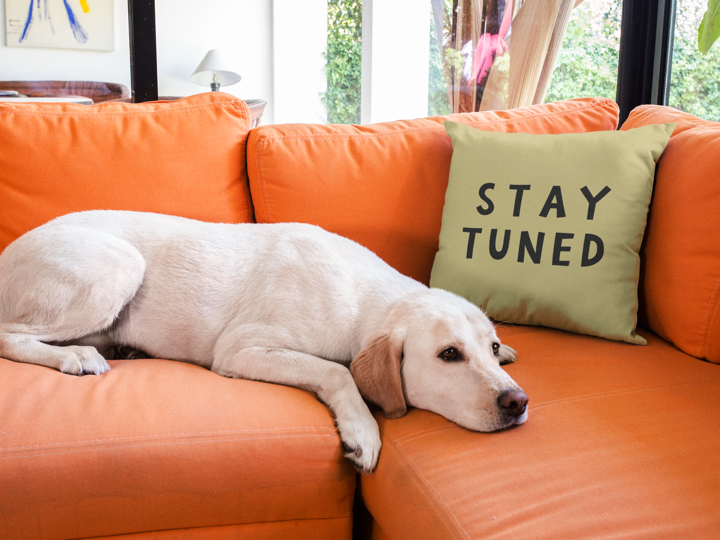 Stay Tuned Printed Cushion