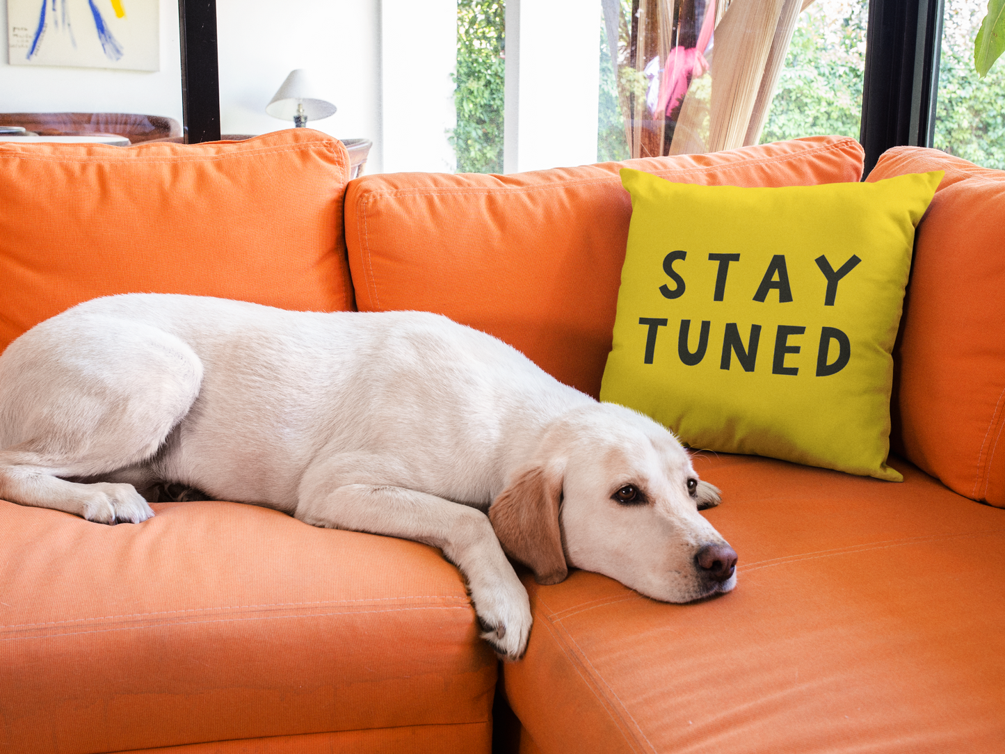 Stay Tuned Printed Cushion
