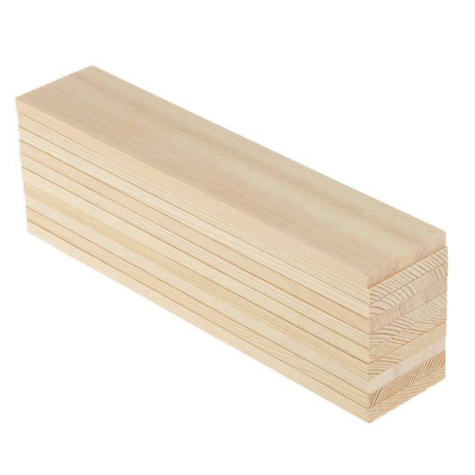 ShopTwiz 10 Pieces Natural Pine Wood Rectangle Board Panel for Arts Craft