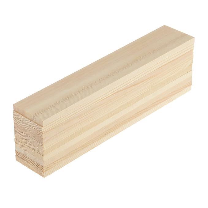 ShopTwiz 10 Pieces Natural Pine Wood Rectangle Board Panel for Arts Craft
