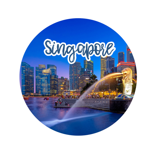 Exploring Singapore's Charm: A Guide to Purchasing Fridge Magnets from ShopTwiz