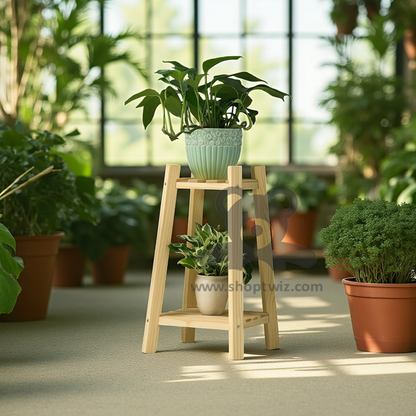 ShopTwiz Wooden 2-Spot Box Stand for Garden