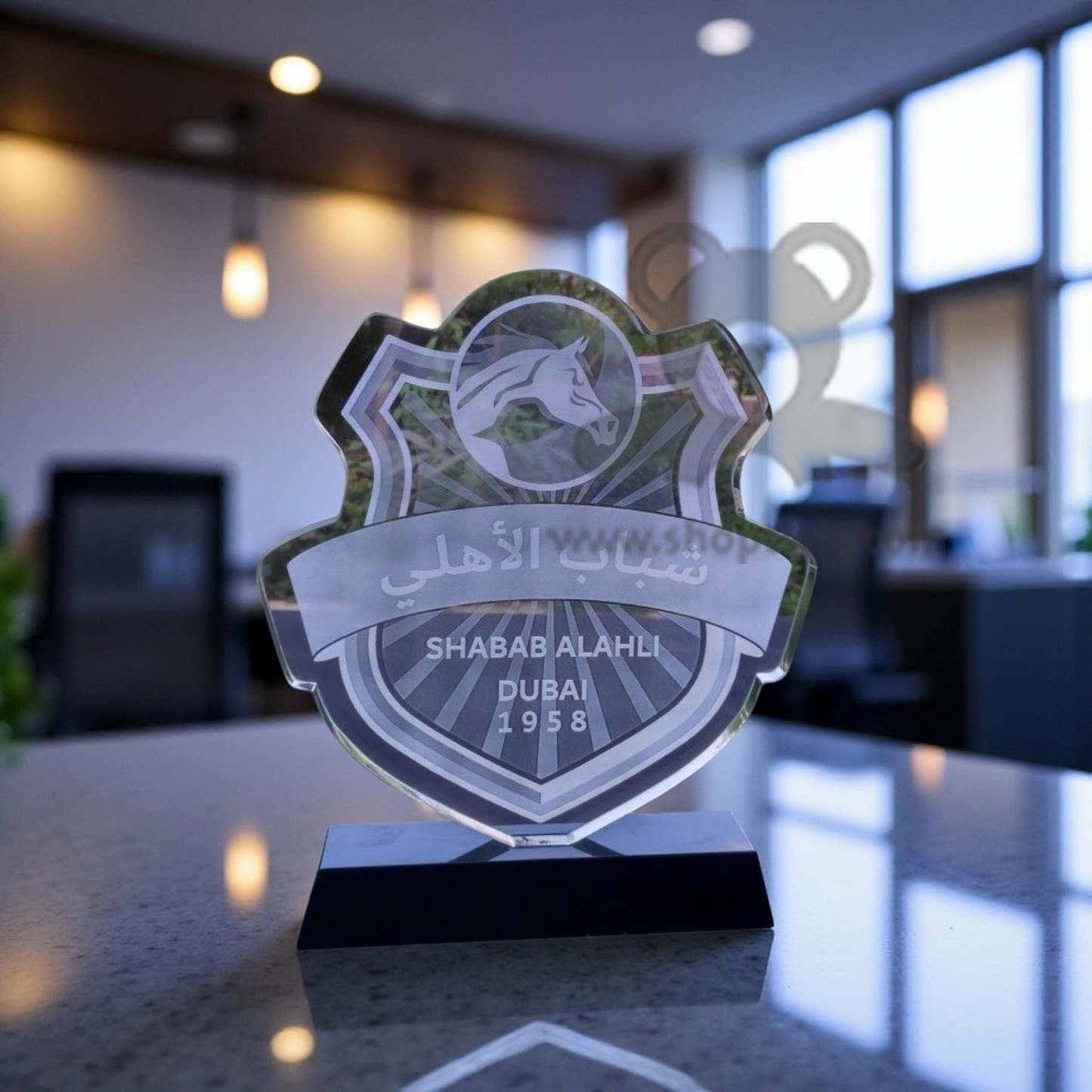 ShopTwiz Customized Best Acrylic Trophy – Personalized Logo & Name Corporate Gift