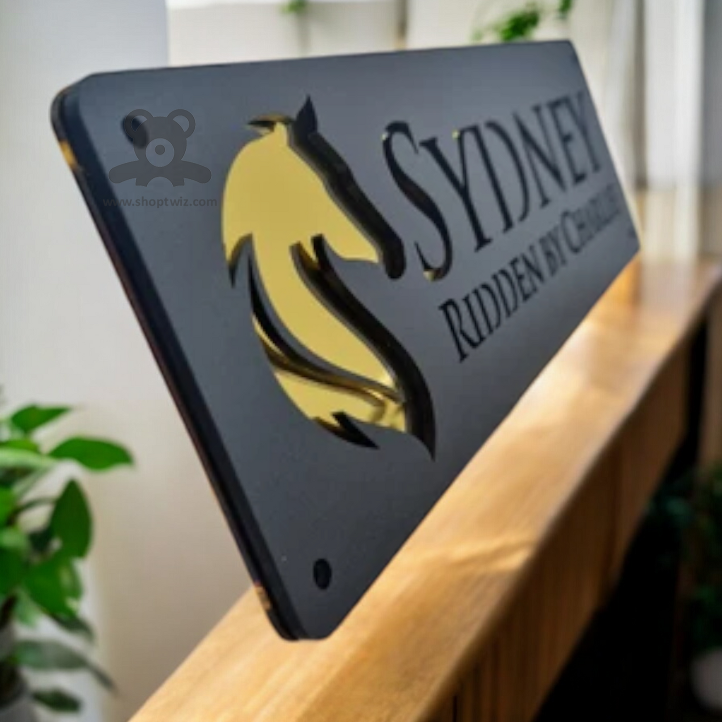 ShopTwiz Rectangle Black and Golden Letter Design Name Plate for House and Office