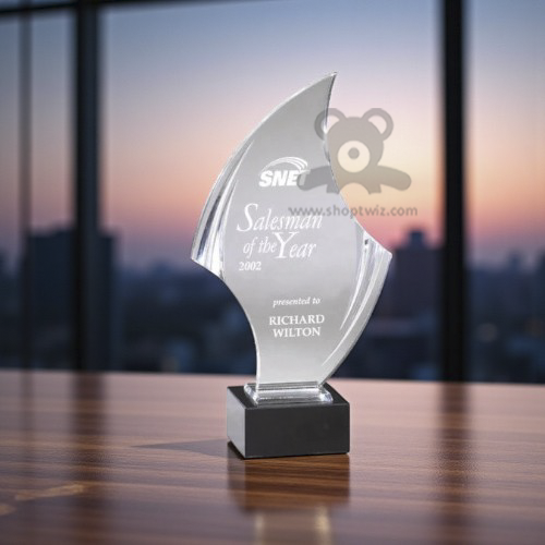ShopTwiz Customized Award – Personalized Logo & Name Corporate Gift