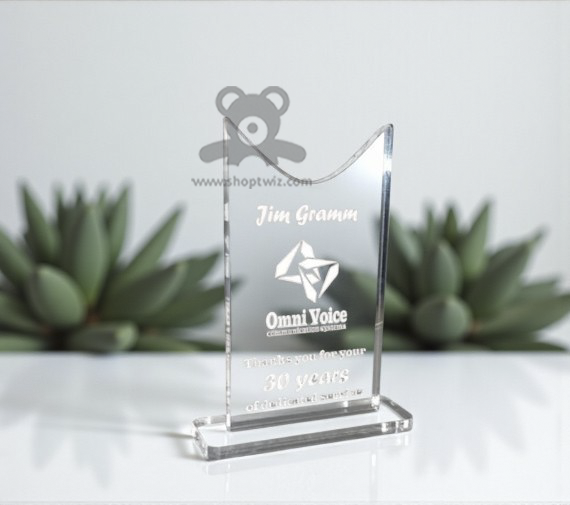 ShopTwiz Customized Acrylic Award Trophy – Personalized Logo & Name Corporate Gift