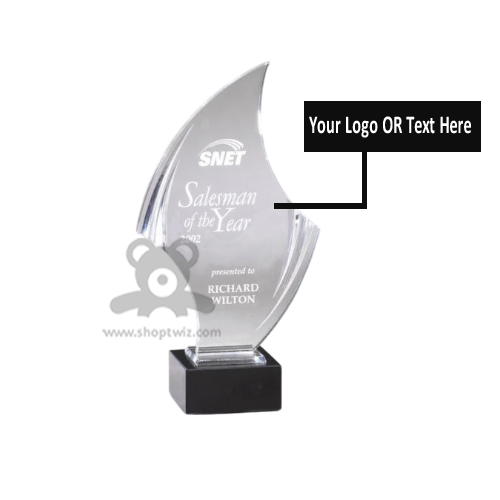 ShopTwiz Customized Award – Personalized Logo & Name Corporate Gift
