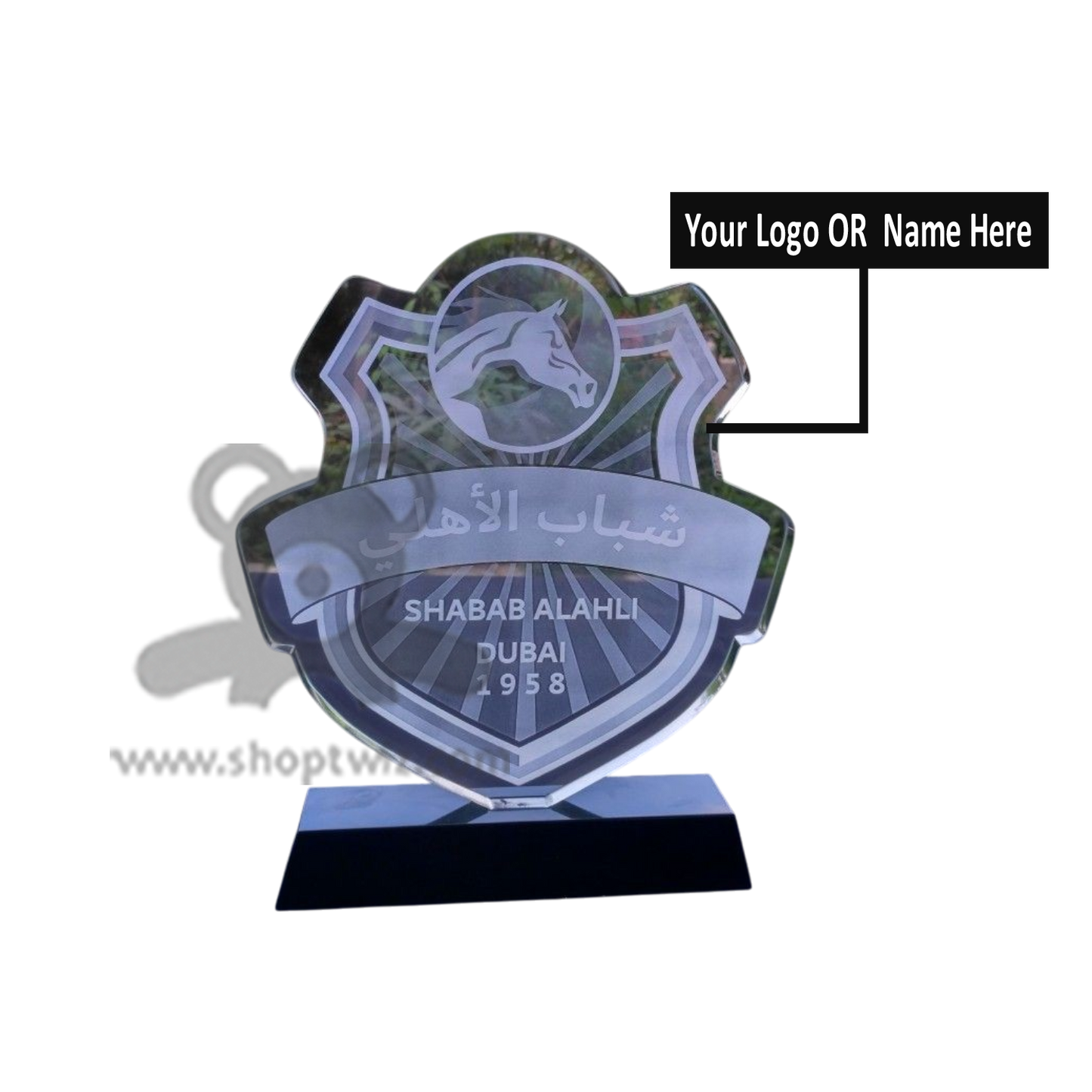 ShopTwiz Customized Best Acrylic Trophy – Personalized Logo & Name Corporate Gift