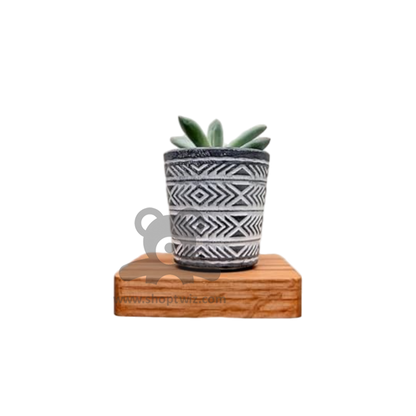 ShopTwiz Simple Flower Pot Stand