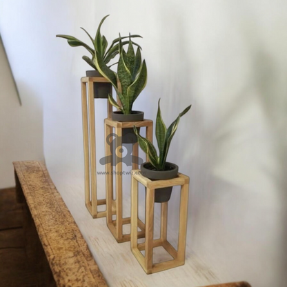 ShopTwiz Wooden 3-Pot Stand for Home Decoration