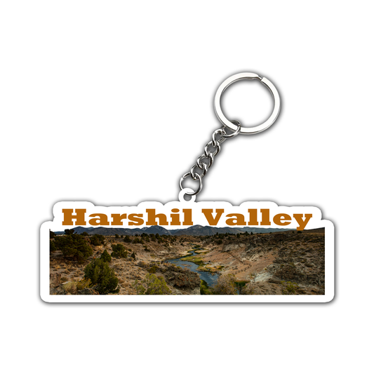 Key chain ( Set of 2 )